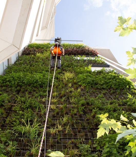 RopeClimber is the optimal safety solution for the maintenance of green buildings