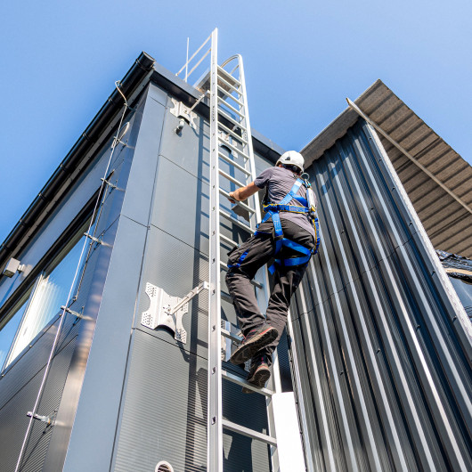 Custom Engineering Solutions for Secure Ladder Installation on Cold Deck Roof 